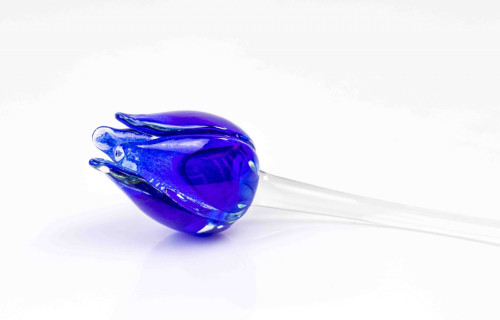 Loranto + Tulp, blauw